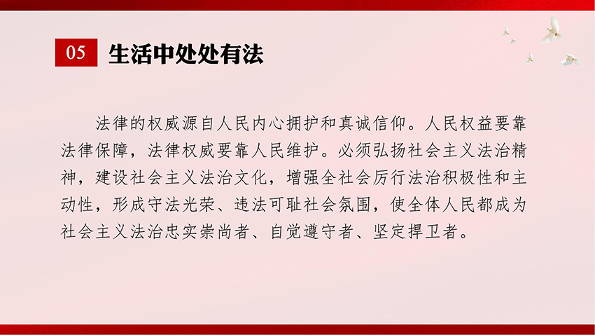 憲法宣傳-PPT課件_09.jpg